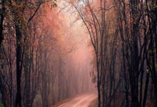 追光丨“90后”女博士实力演绎“知识就是力量.