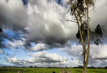 [德甲]门兴格拉德巴赫遭遇两连败.