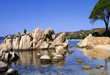 帕利尼亚:我没有考虑过离开拜仁,我已经准备好迎接新的挑战.